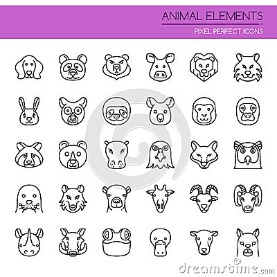 Animal Elements Stock Photo