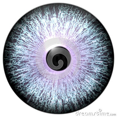 Animal eyeball with purple round, wolf 3d eye with dangerous view, isolated white background Stock Photo