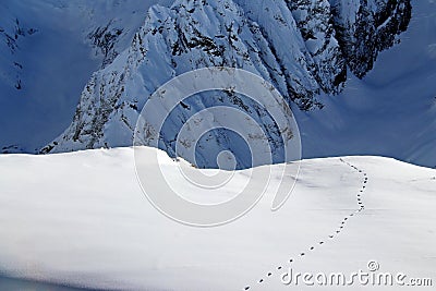 Animal footstep on a snowy mountainside on sunny day Stock Photo