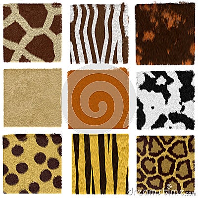 Animal fur set Stock Photo