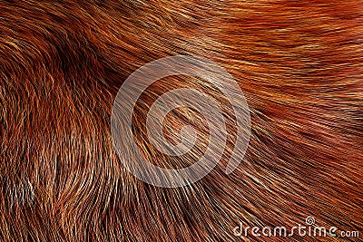 Animal Fur Texture of Wolf or Fox. 3d Rendering Stock Photo