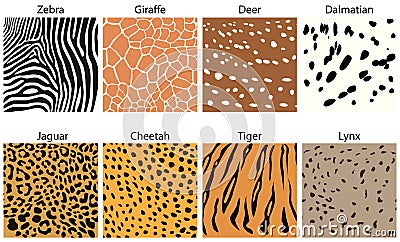 Animal fur textures Stock Photo