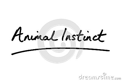 Animal Instinct Stock Photo