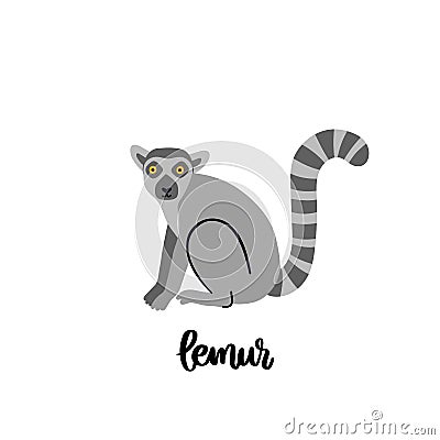 Animal lemur isolated on white background. Vector Illustration