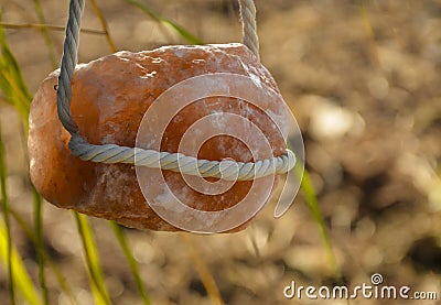 Animal Lick Salt | Himalayan Salt Stock Photo