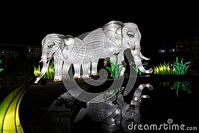 Animal light show. Light decoration in the shape of an elephant. Editorial Stock Photo