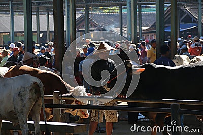 ANIMAL MARKET Editorial Stock Photo