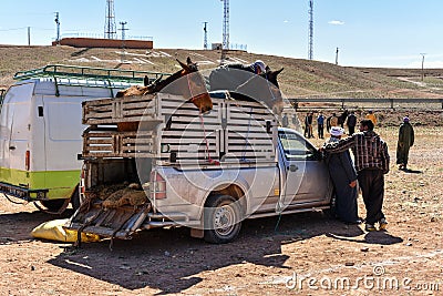 Animal market in Morocco Editorial Stock Photo