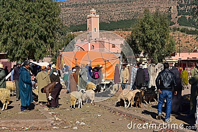 Animal market in Morocco village Editorial Stock Photo