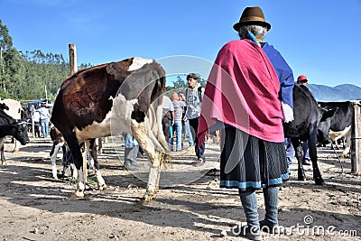 Animal market in Otavalo, Ecuador Editorial Stock Photo