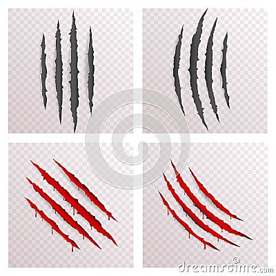 Animal Monster Claws Blood Bleeding Scratches Torn Material Template Set Transparent Background Mock Up Design Vector Vector Illustration