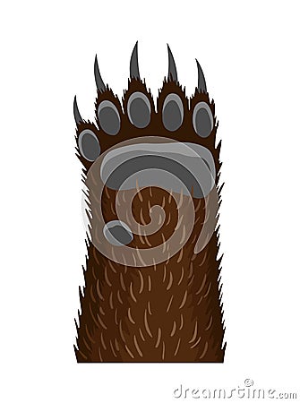 Animal paw. Animalistic foot of bear. Funny fur pet with dangerous claws Vector Illustration