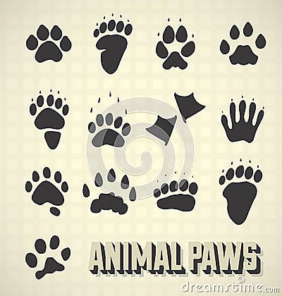 Animal Paw Prints Vector Illustration