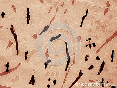 Animal Print Background Stock Photo