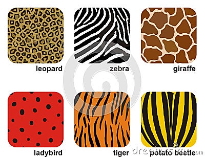 Animal prints Vector Illustration