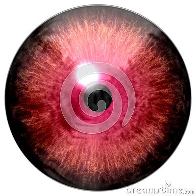 Animal red eyeball, frog eye texture Stock Photo