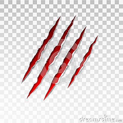 Animal red scratches on transparent background. Paper claws animal scratching. Claw scratch mark. Animal predator paw Vector Illustration