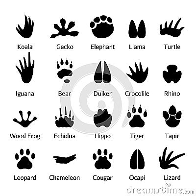 Animal and reptile footprints vector Vector Illustration