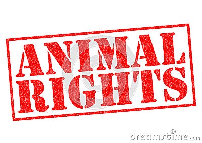 ANIMAL RIGHTS Stock Photo