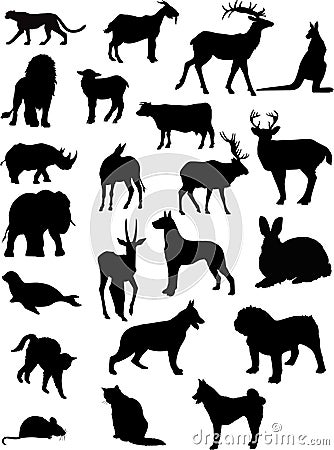 Animal shapes Stock Photo