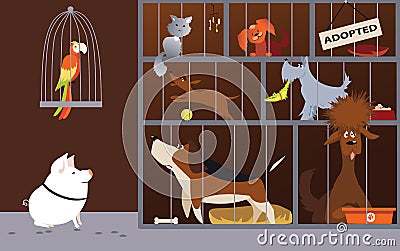 Animal shelter cartoon Vector Illustration