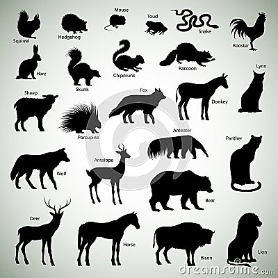 Animal silhouettes Vector Illustration