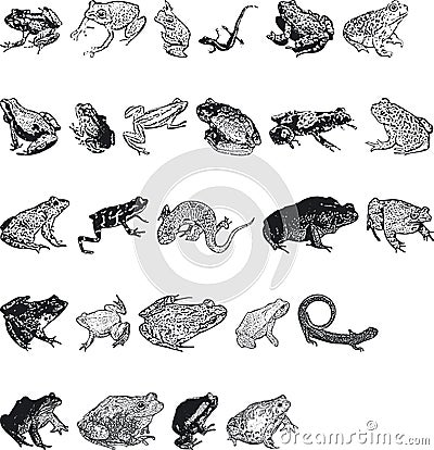 Animal Silouettes Vector Illustration