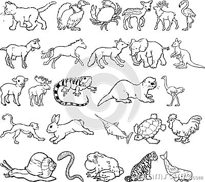 Animal Silouettes Vector Illustration