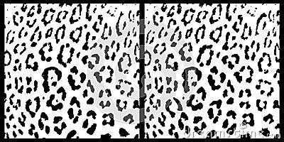 leopard skin pattern spot the difference Stock Photo