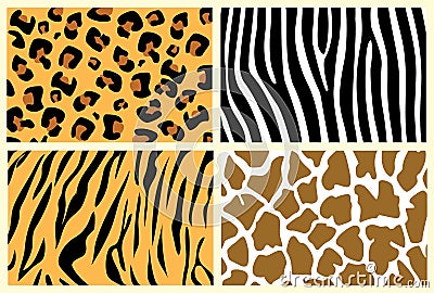 Animal skins Vector Illustration