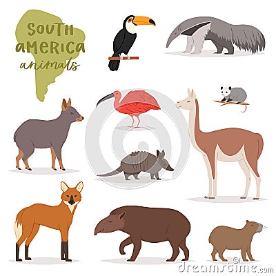 Animal in South America vector wild animalistic mammal character capybara tapir toucan in southern wildlife illustration Vector Illustration