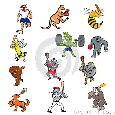 Animal Sports Cartoon Full Body Collection Set Vector Illustration