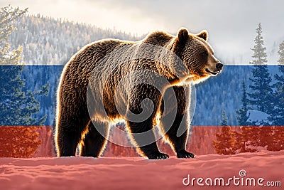 Animal symbol of Russia. Big Russian brown bear in the winter Siberian taiga. Translucent Russian flag background Stock Photo