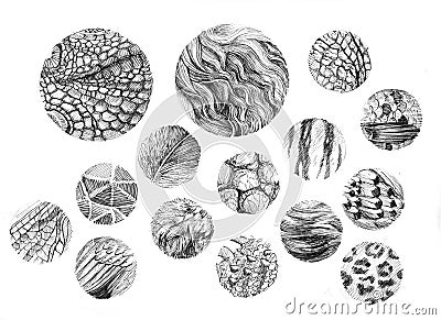 Animal texture round Stock Photo