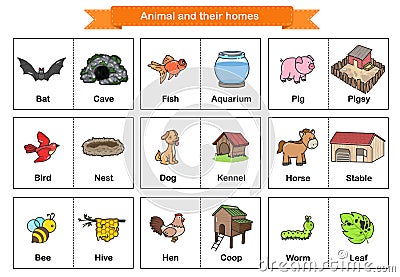 Animal and Their Homes Flash Cards. Printable flash card illustrating. - Flashcards for education Vector Illustration