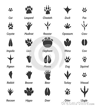 Animal tracks and bird footprints Vector Illustration