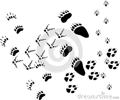 Animal tracks on white Vector Illustration