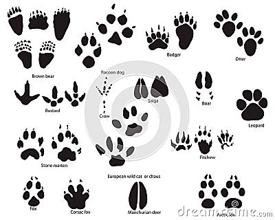 Animal trails with title Vector Illustration