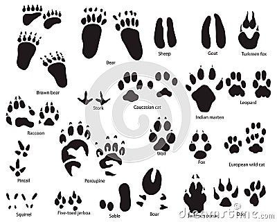 Animal trails with title Vector Illustration