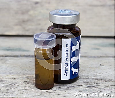 Animal vaccine for animal to heal animal skin Stock Photo