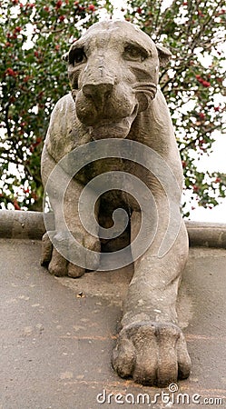 Animal Wall Leopard Stock Photo