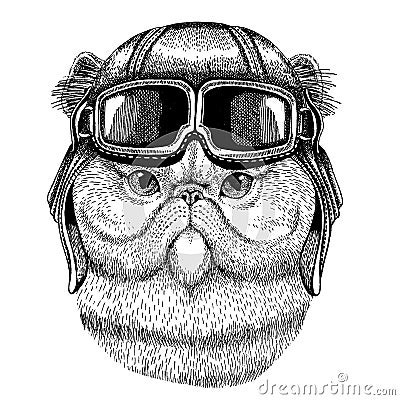 Animal wearing aviator helmet with glasses. Vector picture. Persian cat Cute Fuzzy Hand drawn image for tattoo, emblem Vector Illustration