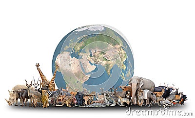 Animal of the world with planet earth Stock Photo