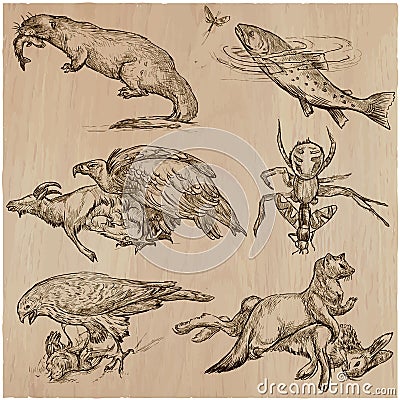 Animals in action, Predators - An hand drawn vector illustration Vector Illustration