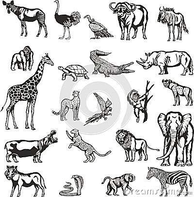 Animals of the African continent. Vector Illustration