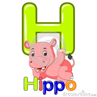 Animals alphabet: H is for Hippo Vector Illustration