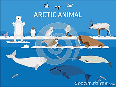 Animals of the Arctic. Flat style illustration Vector Illustration