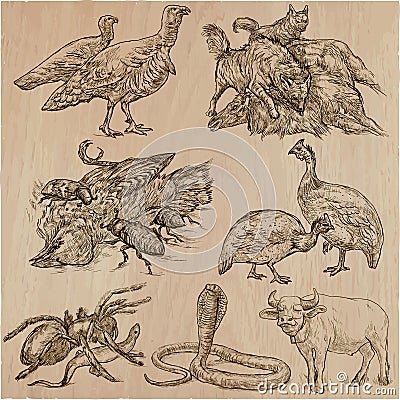 Animals around the World - An hand drawn vector pack. Line art. Vector Illustration