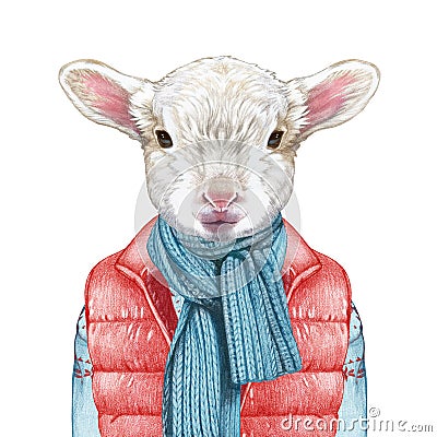 Animals as a human. Lamb in down vest, sweater and scarf. Cartoon Illustration