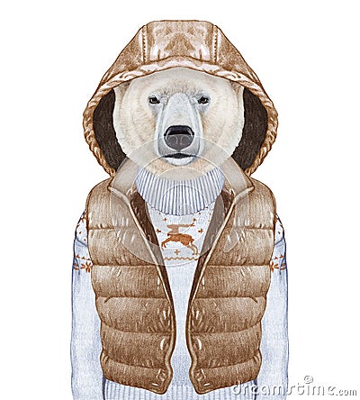 Animals as a human. Polar Bear in down vest and sweater. Cartoon Illustration